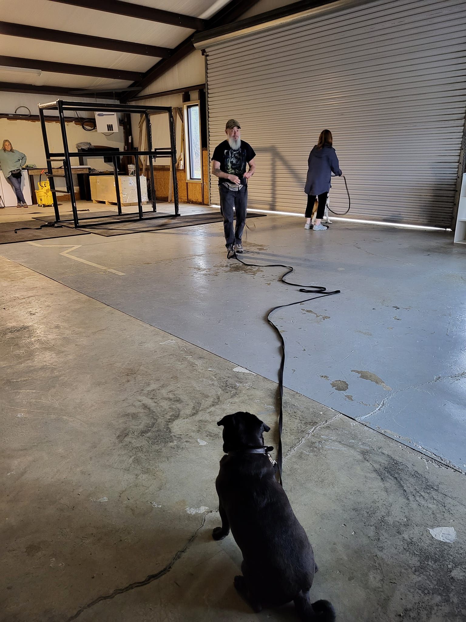 A man and a woman are walking a dog in a garage