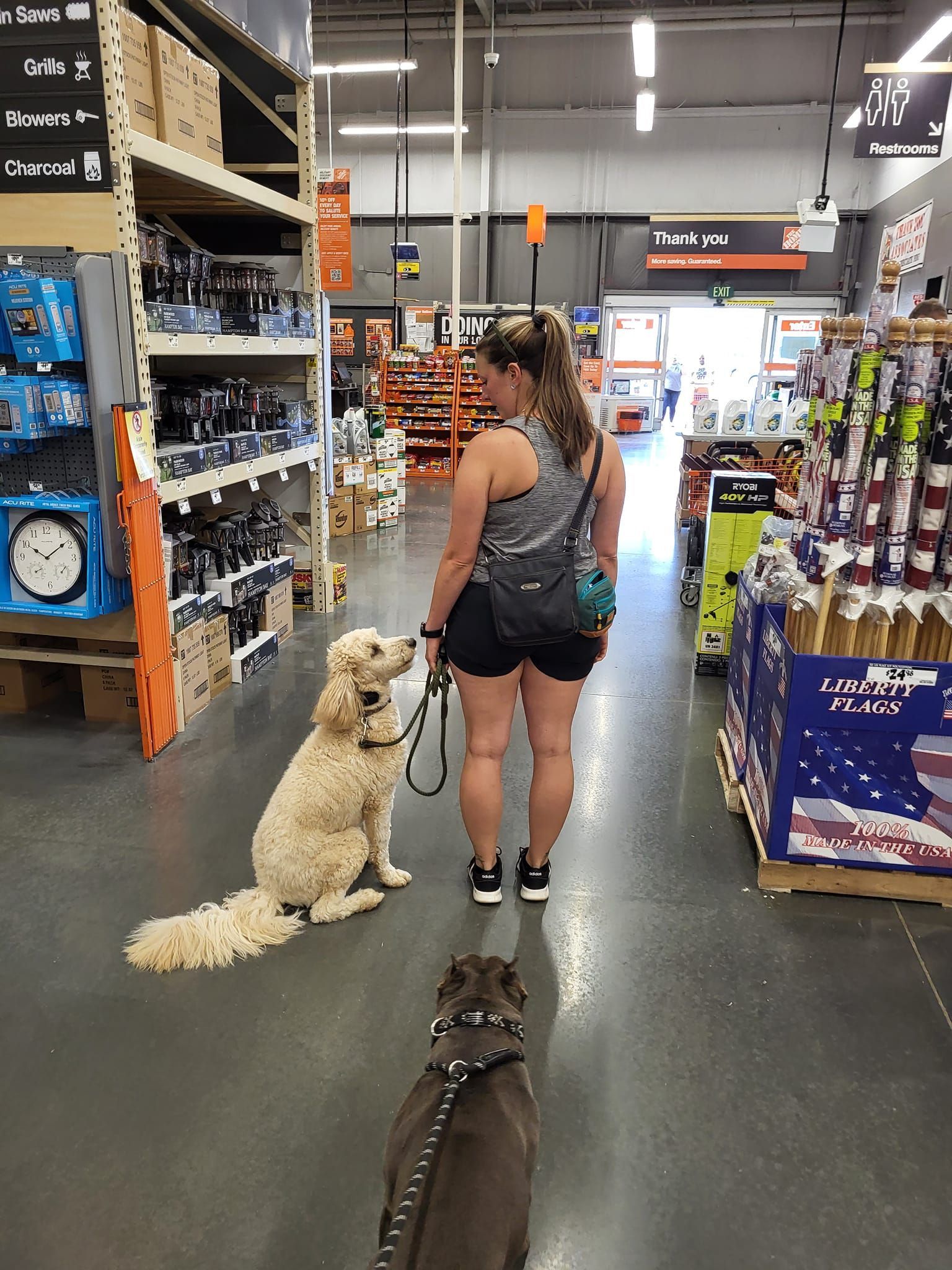 A woman is walking two dogs in a store