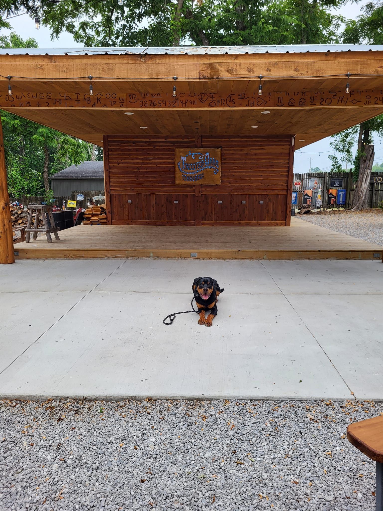 A small dog is sitting on the ground in front of a wooden stage