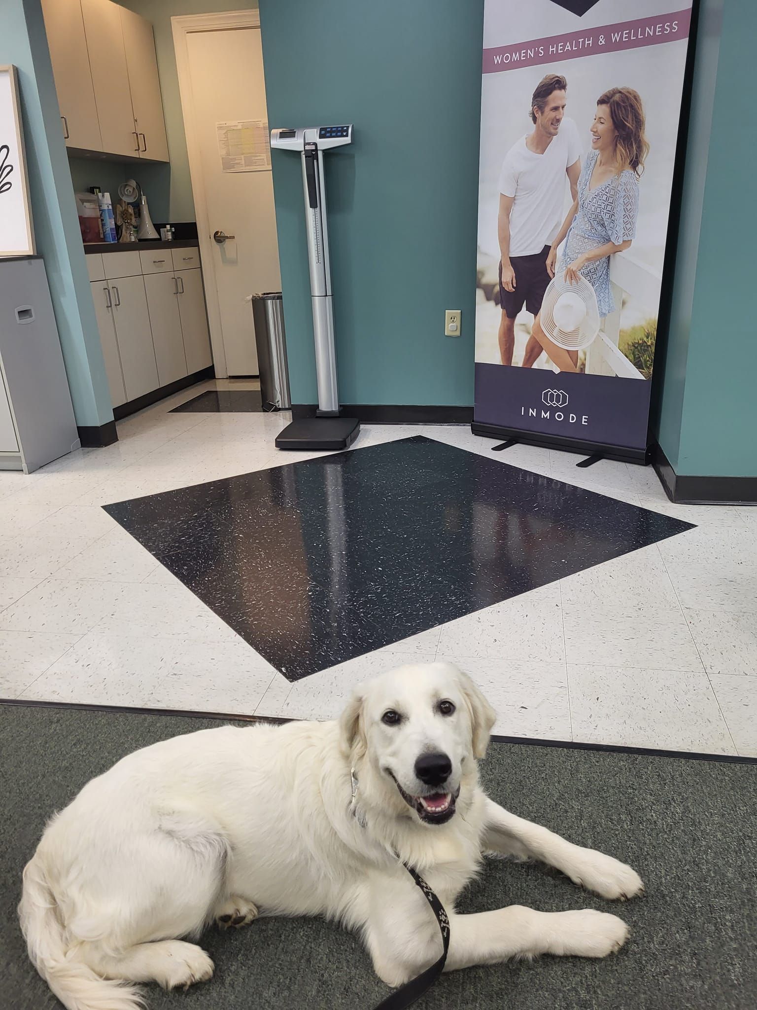 A white dog is laying on the floor in a room