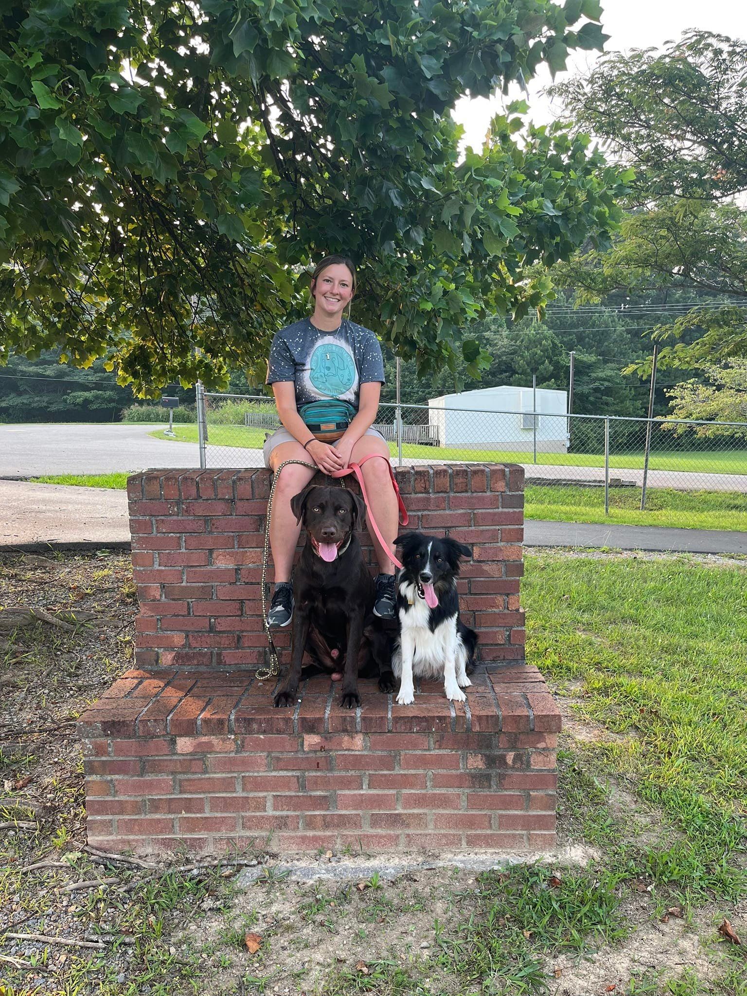 A woman is sitting on a brick wall with two dogs