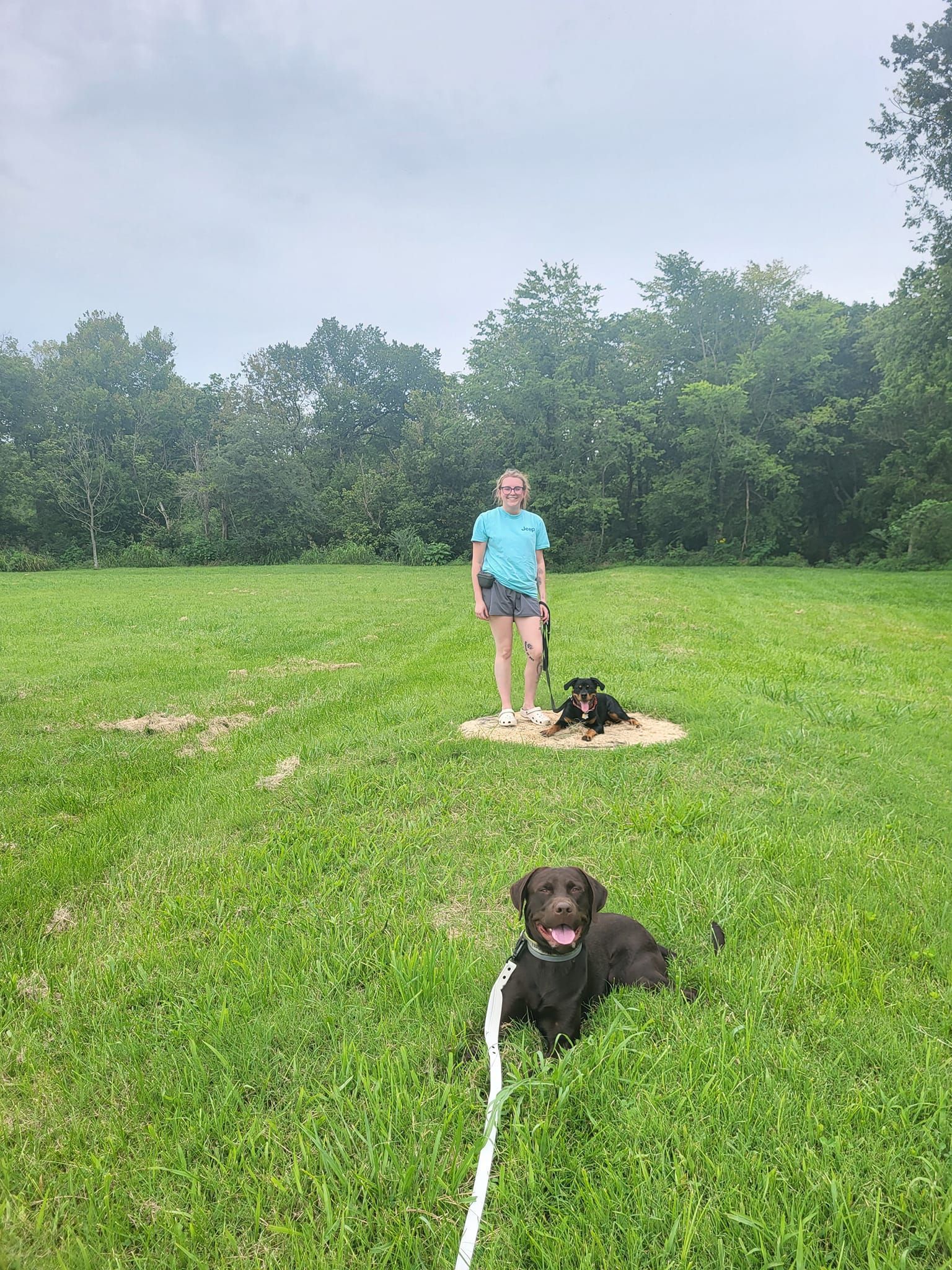 A woman is standing next to two dogs in a grassy field