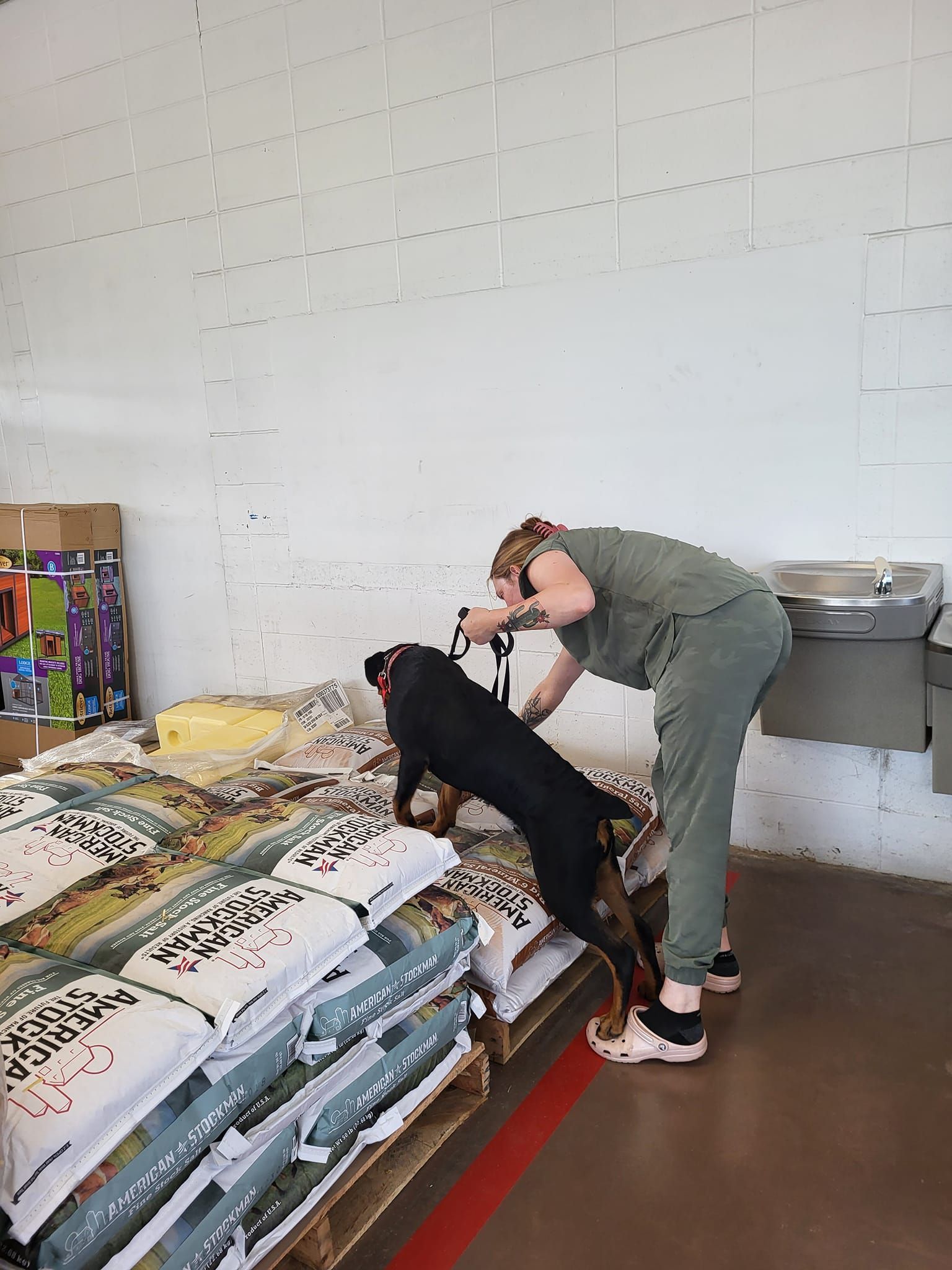A woman is standing next to a dog in a store