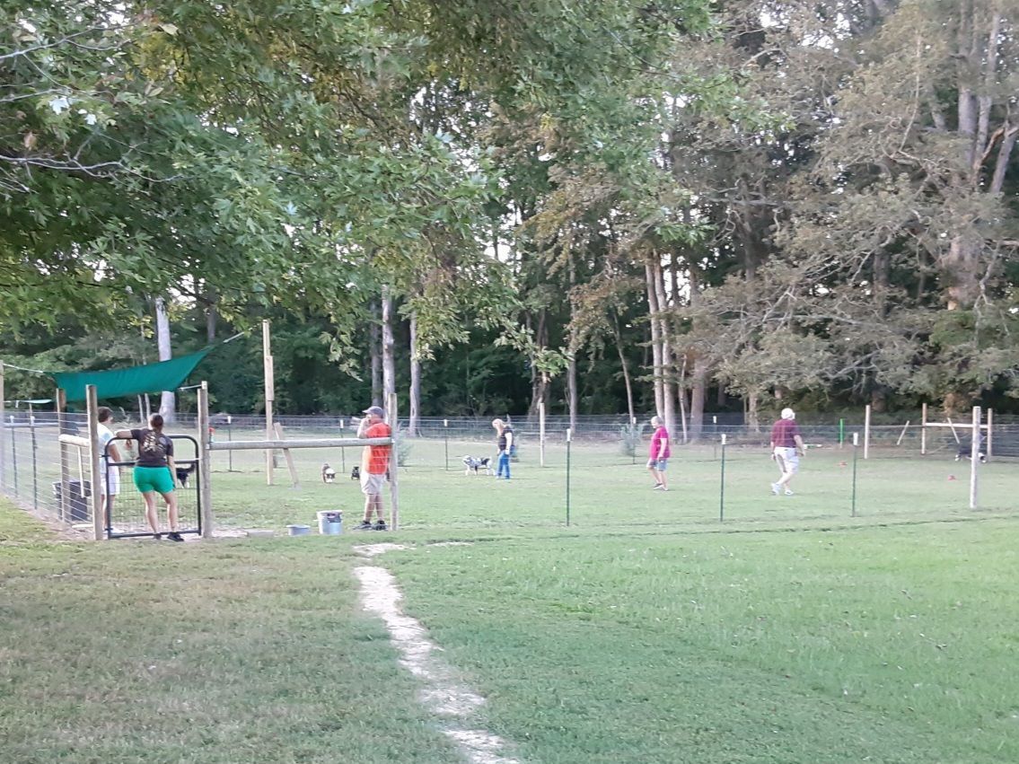 a group of people are playing soccer in a park