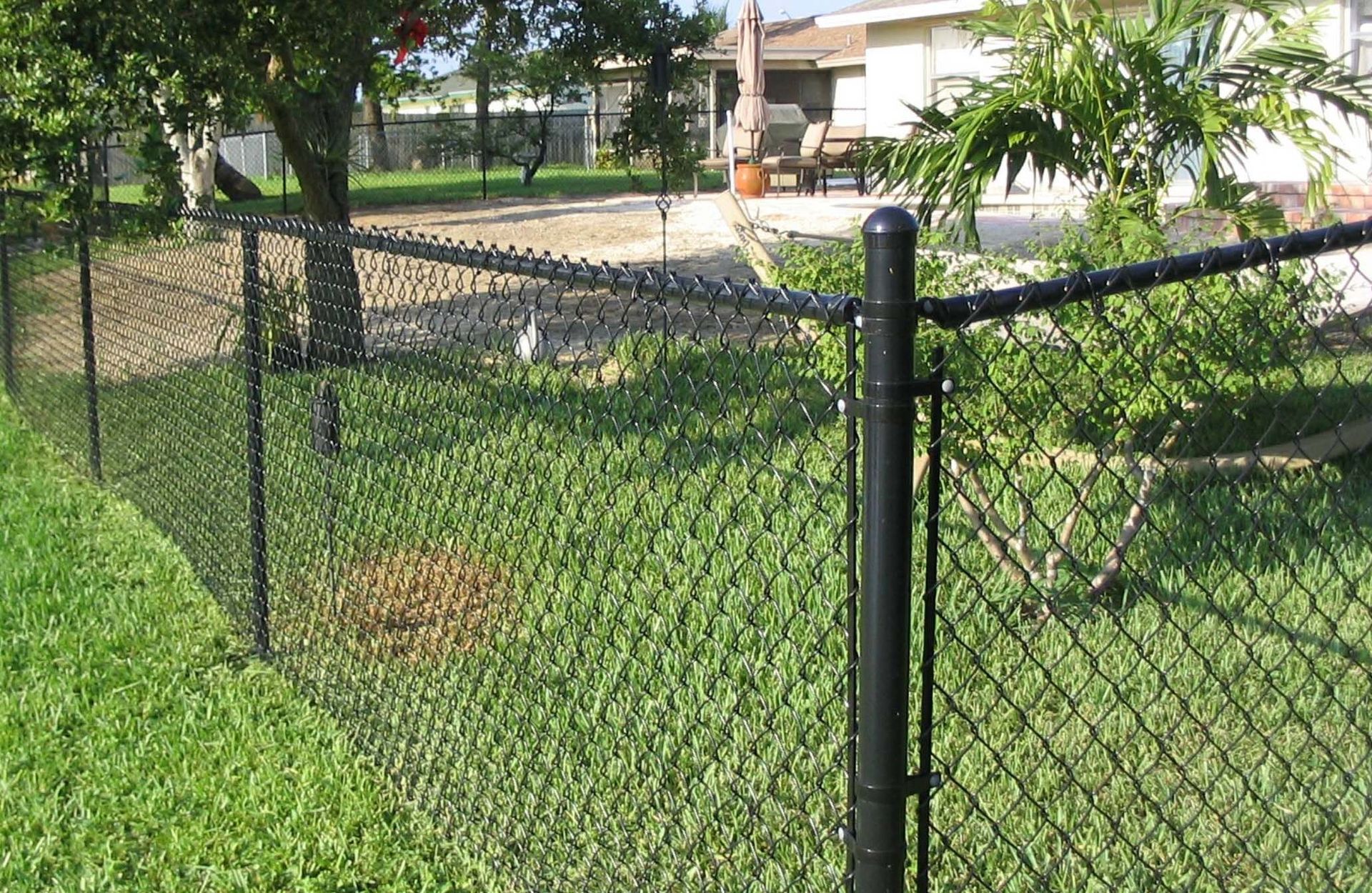 Black chain-link fence in a grassy yard with a house and trees in the background.