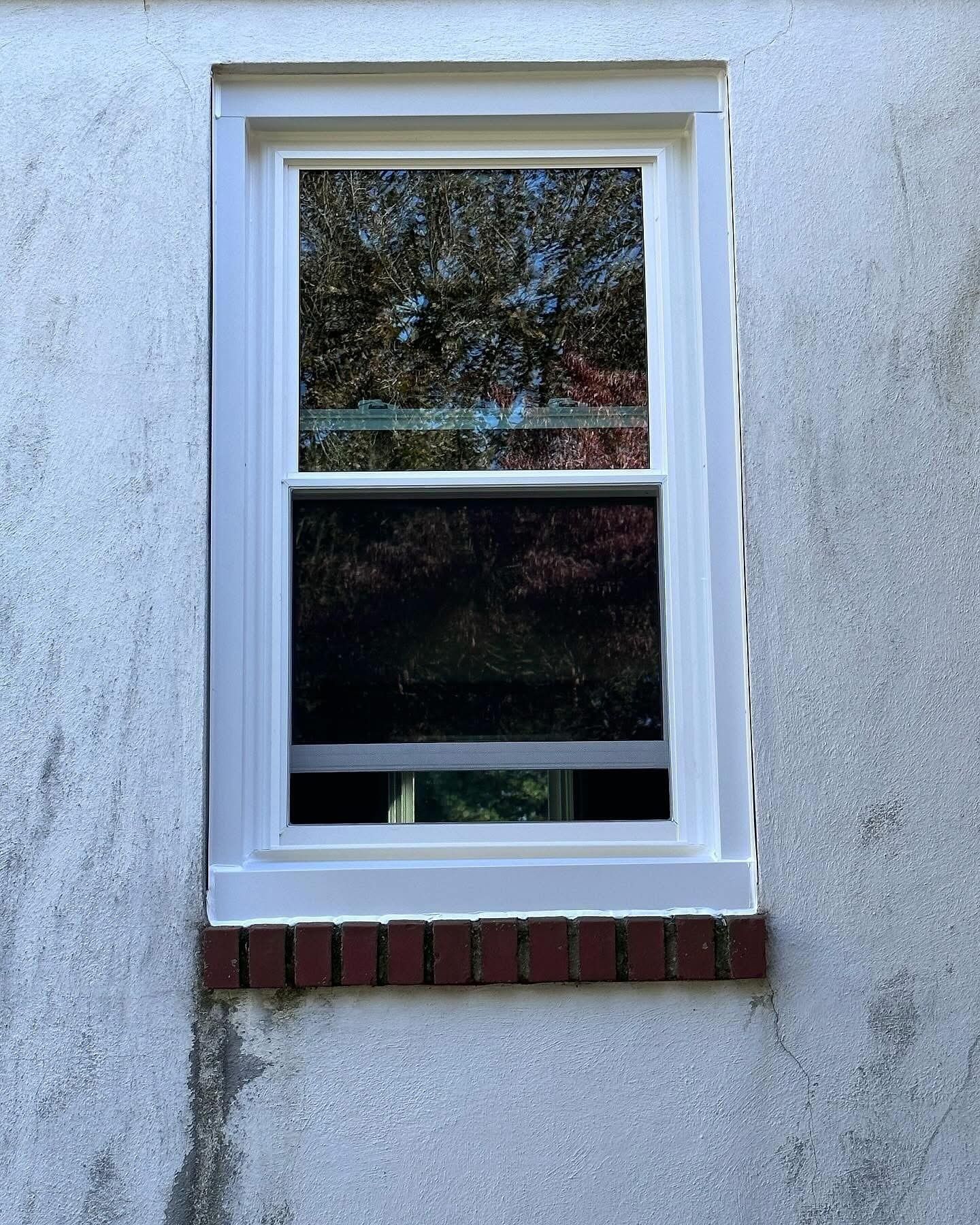 White-framed window on a textured, white wall with a brick ledge. The window reflects a tree.