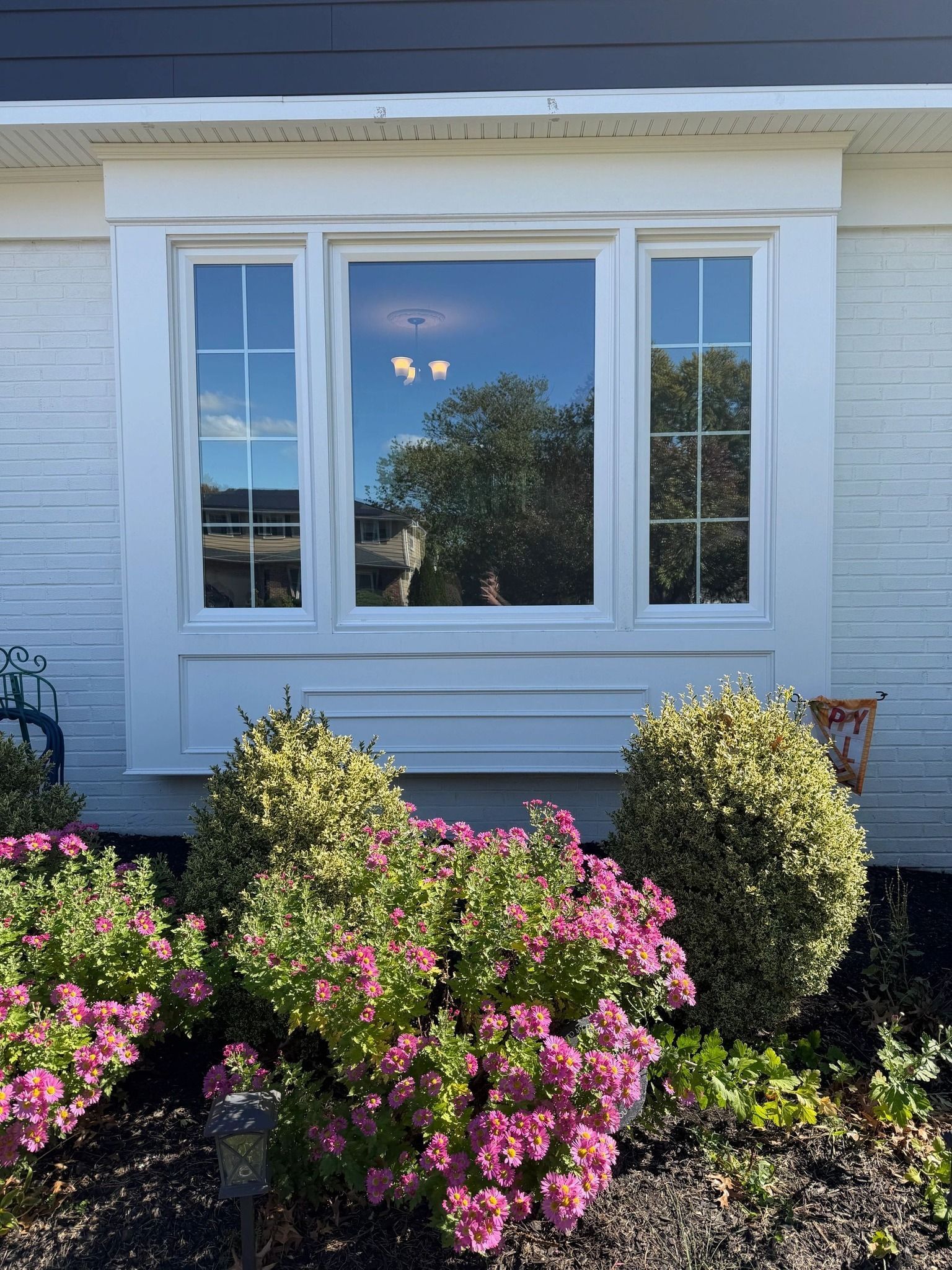 White bay window with three panes reflecting trees and sky, surrounded by white trim and pink/green bushes.