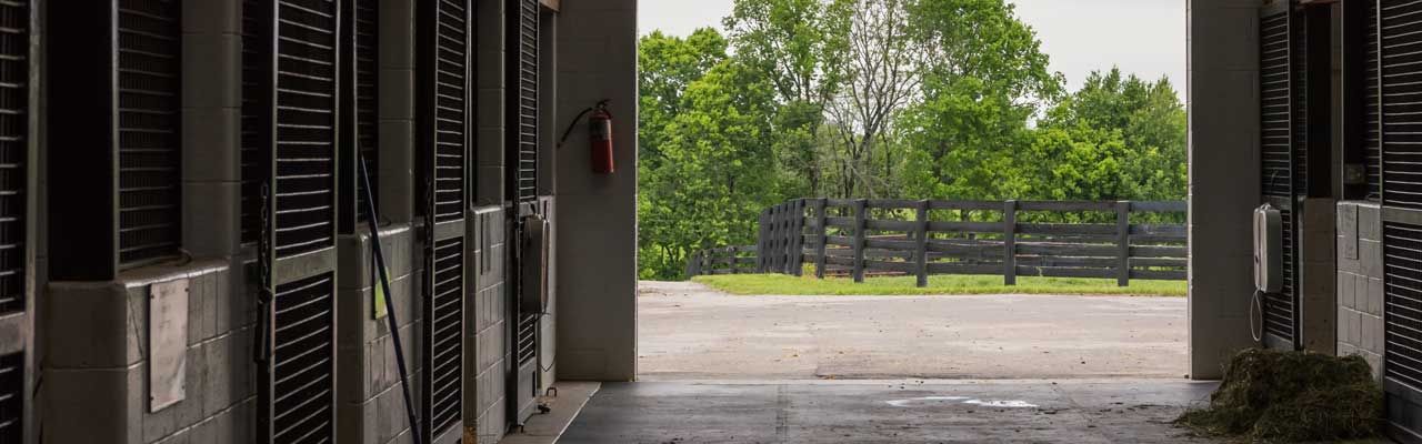 Inside a stable, looking out at a green landscape, trees and a fence.