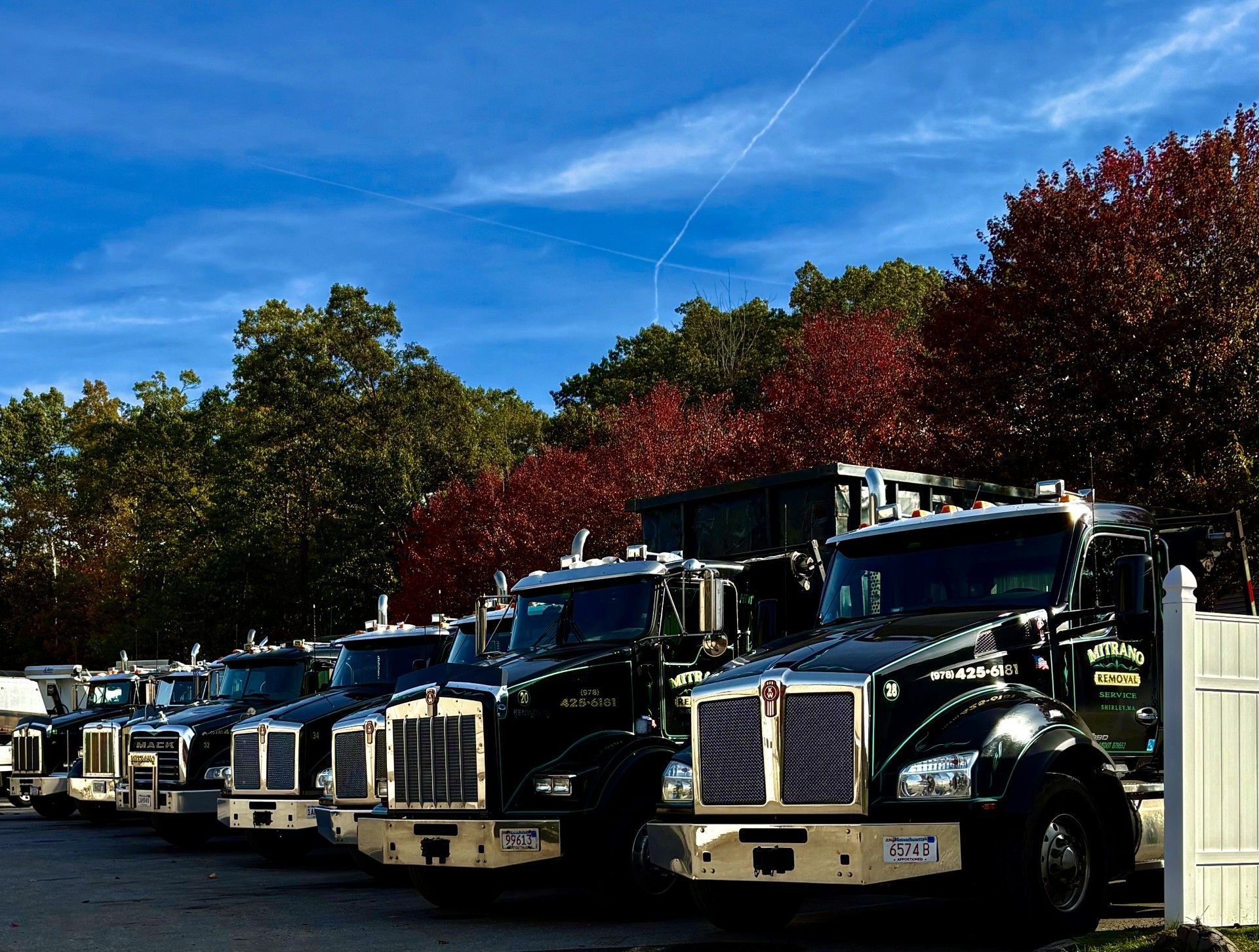 Line of dark green dump trucks parked on a sunny day. Red and green trees in the background.