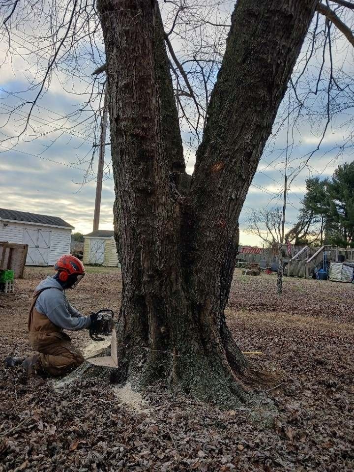 Person using a chainsaw to cut a tree trunk outdoors. They are wearing protective gear.