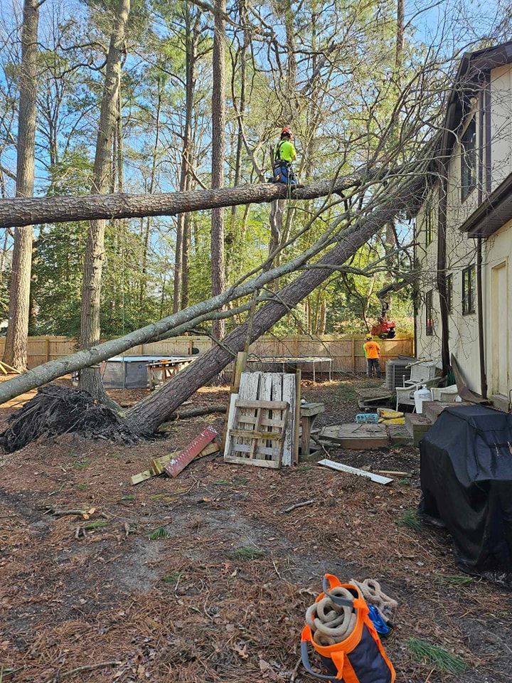 Tree fell on a house. Arborist in orange vest on the fallen tree, other workers nearby.