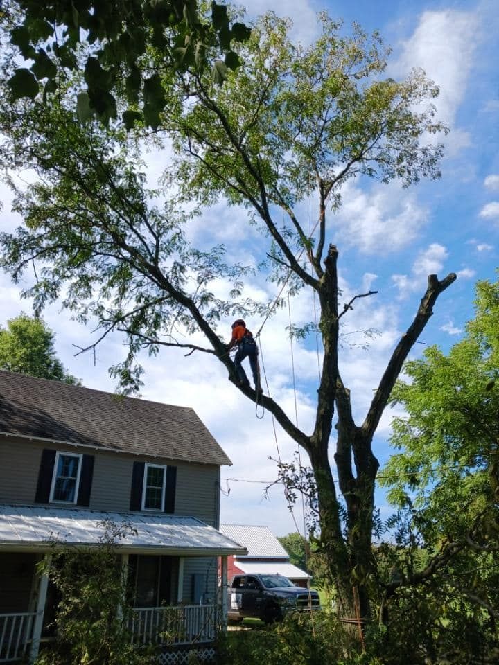 Man in orange vest trims a tree near a house under a blue sky.