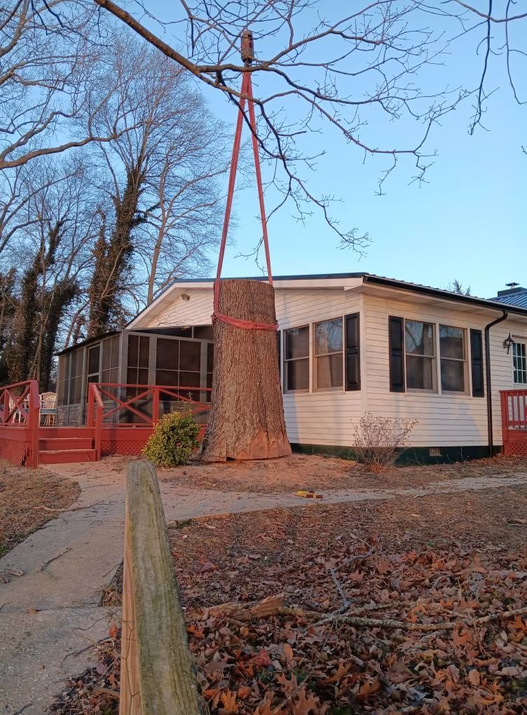 Large tree trunk suspended by straps from a tree branch near a house with a red deck.
