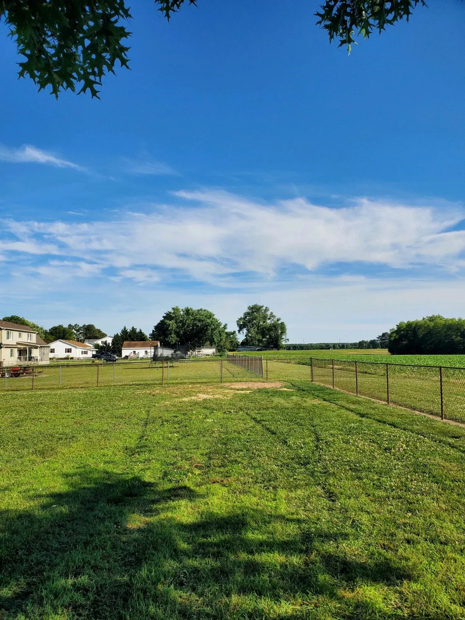 Green field with houses in the background, under a bright blue sky with wispy clouds.