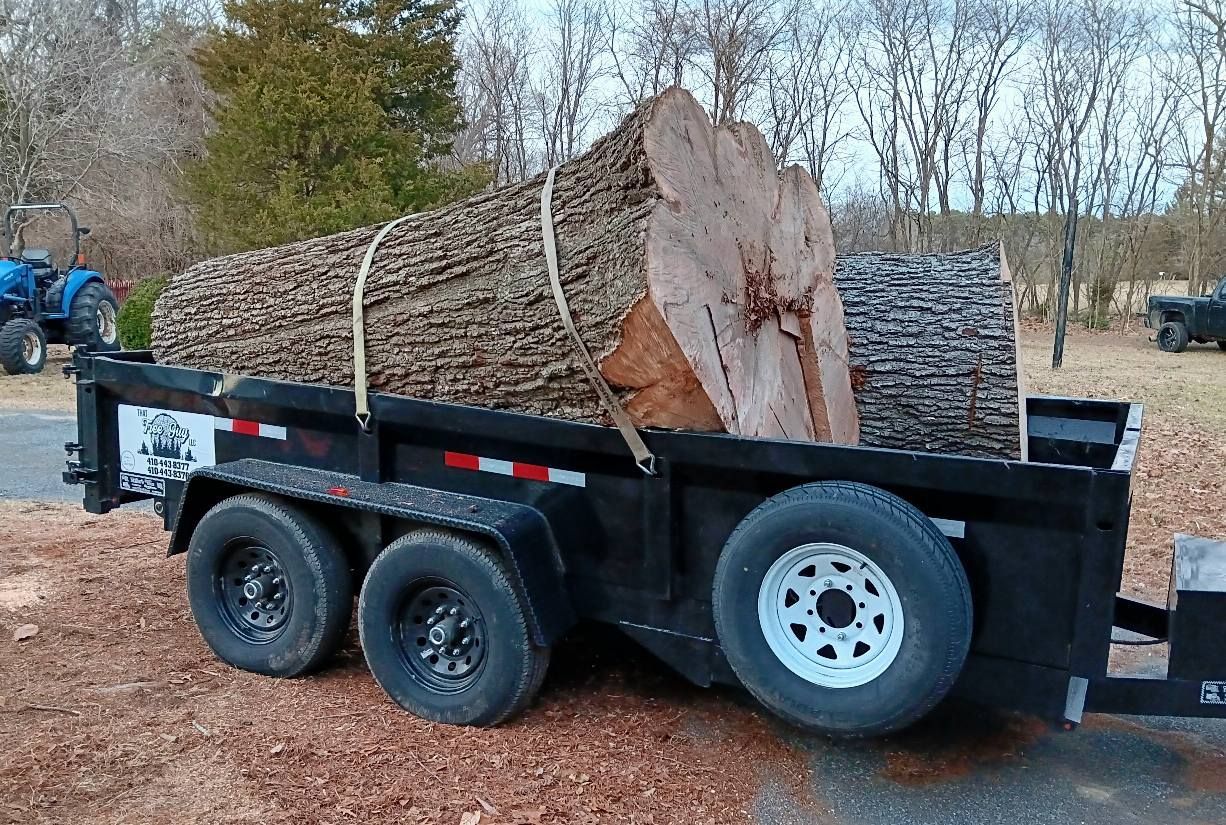 A large tree trunk secured to a black trailer with a spare tire, parked outdoors.