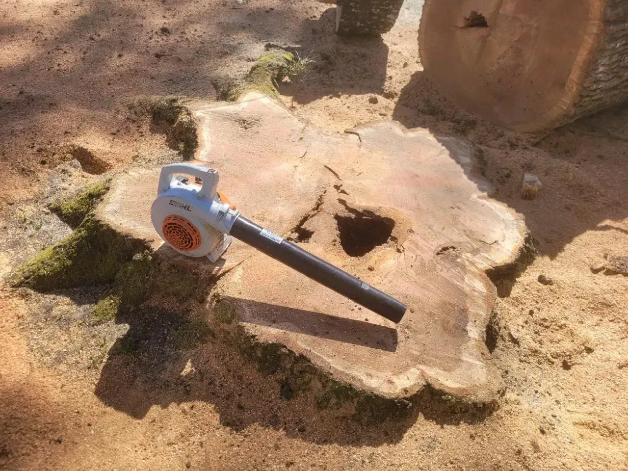 A leaf blower rests on a tree stump covered in sawdust.