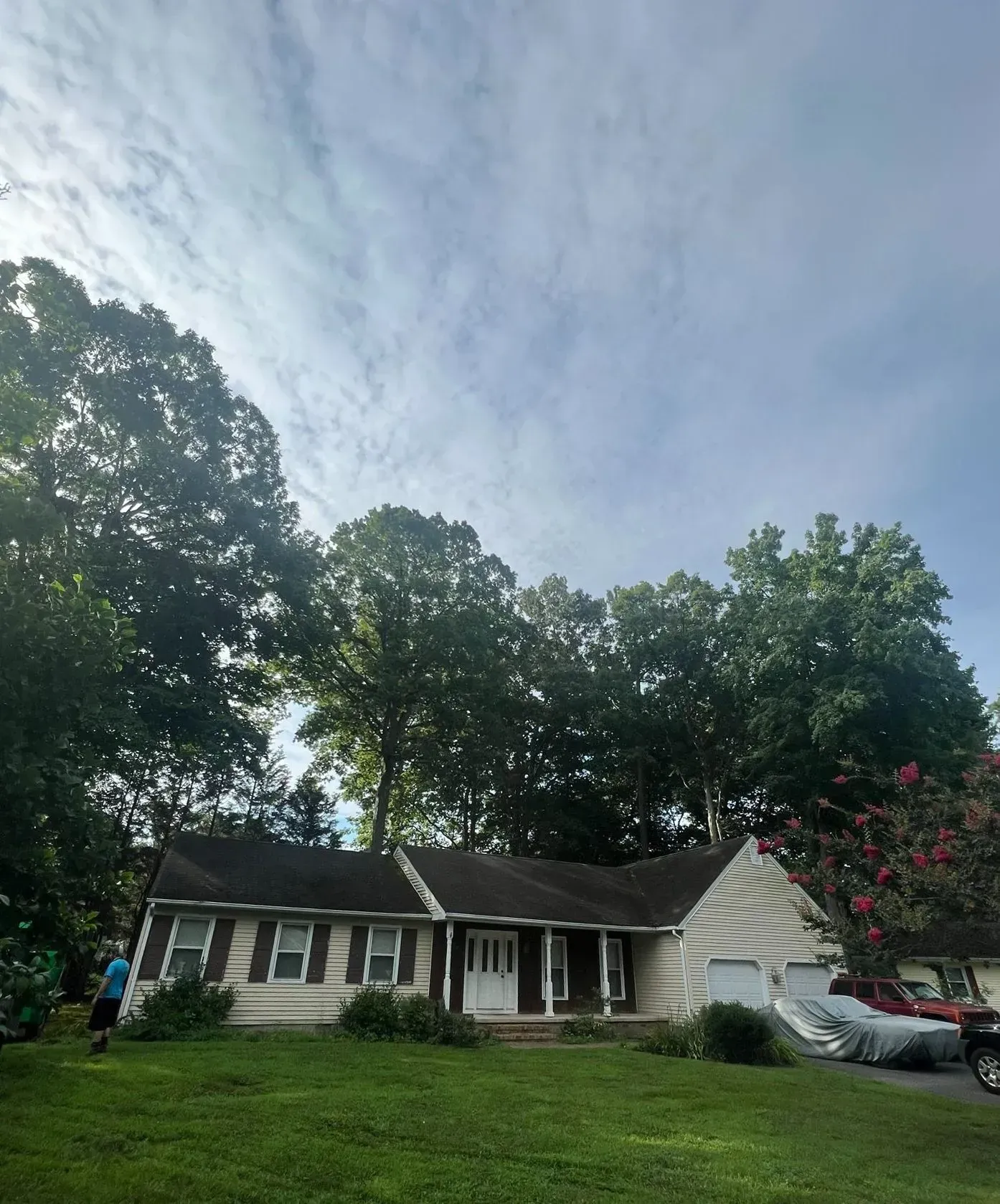 A house with a dark roof and beige siding, surrounded by tall green trees and a cloudy sky.