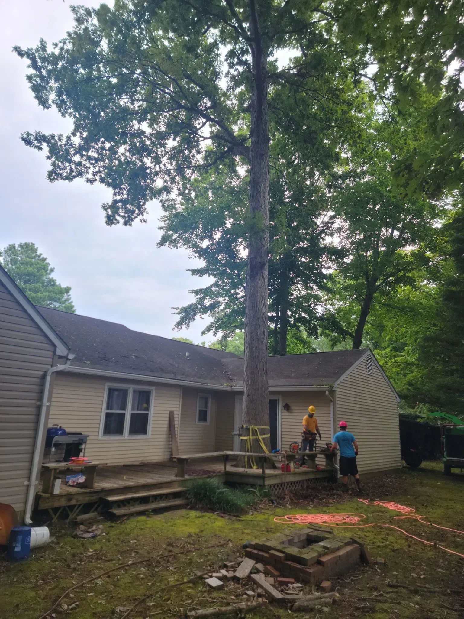 Tree being cut near a house. Arborists in yellow and blue protective gear on deck. Orange sawdust present.