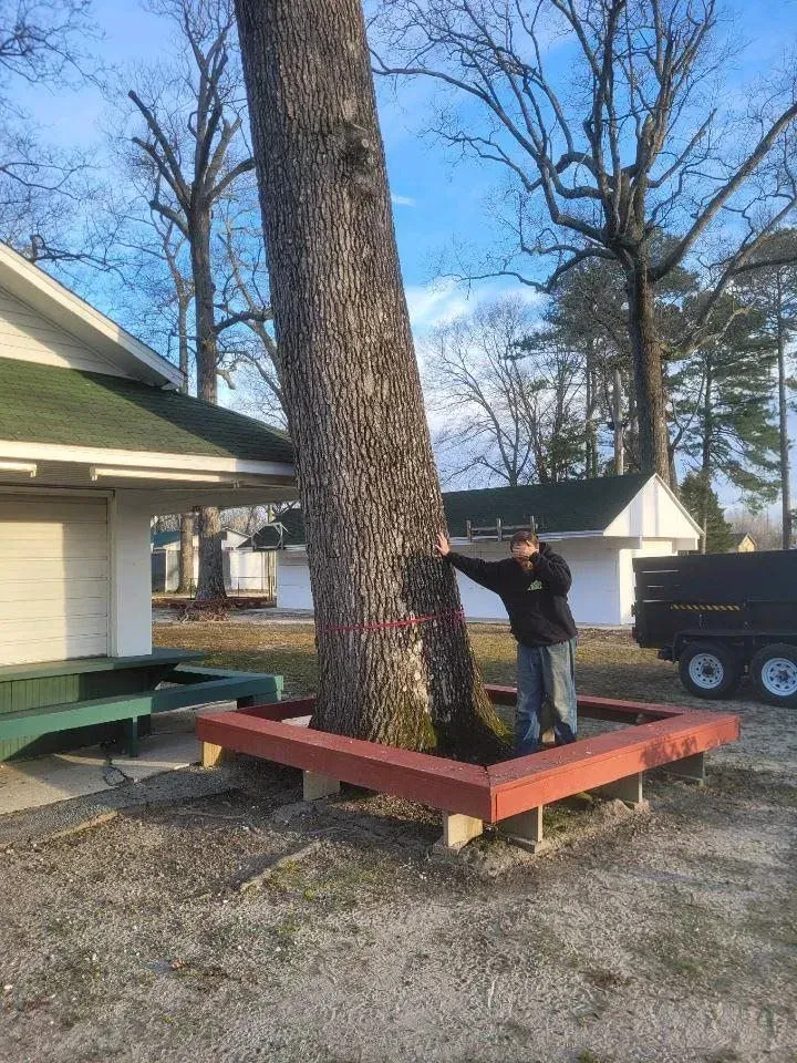 Man standing next to large tree in a red-trimmed square planter. Building and trailer in background.