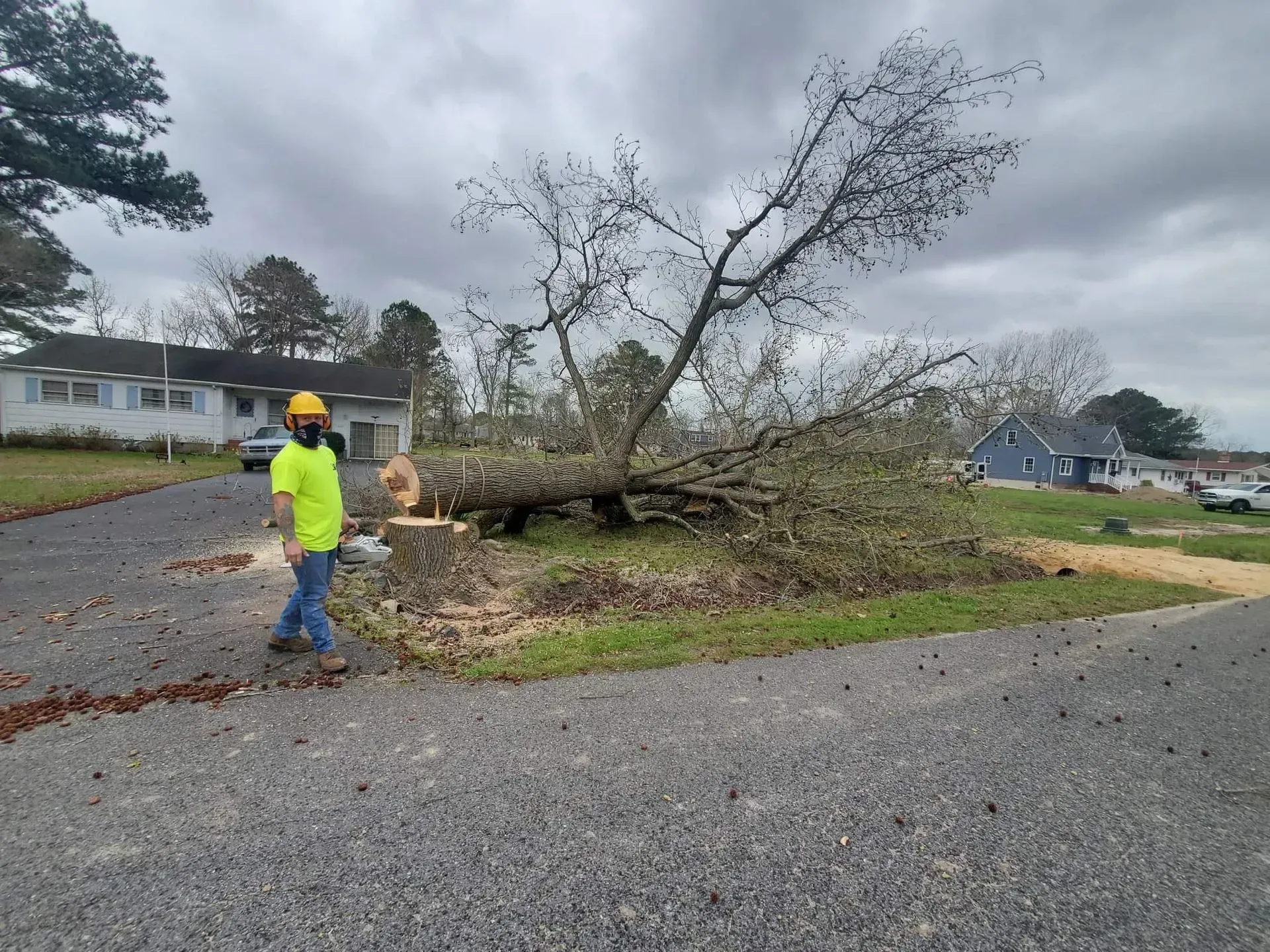 Man in yellow shirt and hard hat stands near a fallen tree in front of a house.