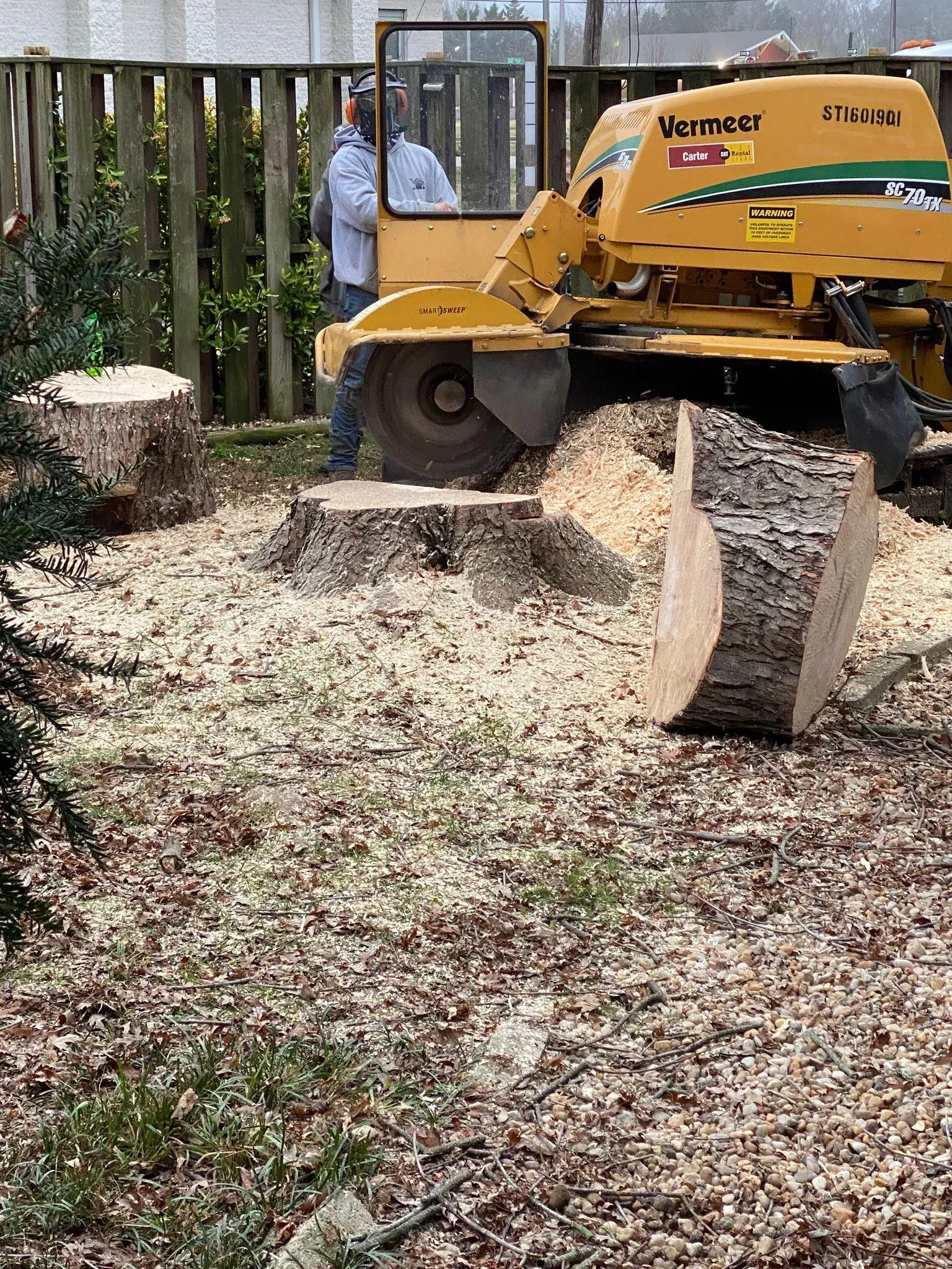 Man operating a yellow Vermeer stump grinder, surrounded by wood chips, near a fence.