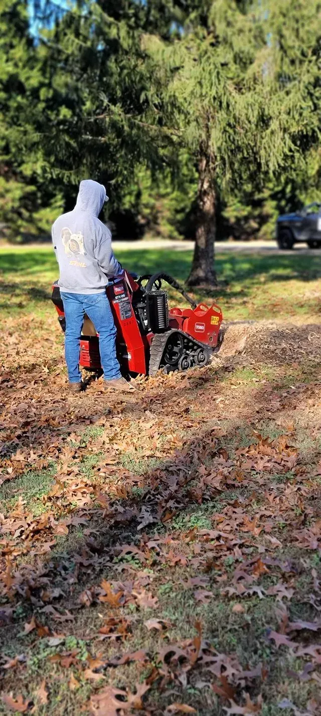 Hand with gardening glove using pruning shears to cut a tree branch.