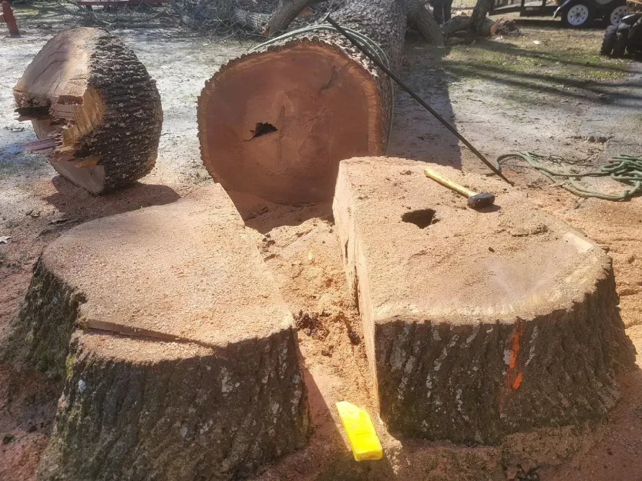 Cut tree logs on the ground, surrounded by sawdust. A hammer and wedge are present.