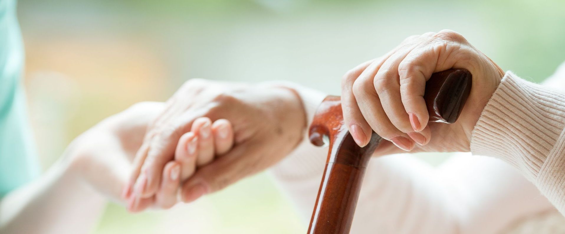 Happy elderly with health aide