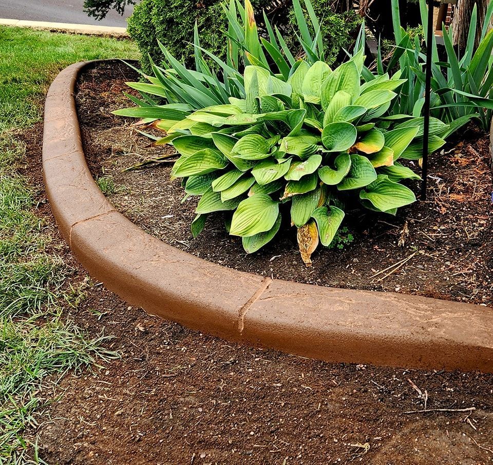 A curved, light brown concrete landscape edging border separates a grassy lawn from a mulch garden bed with plants.