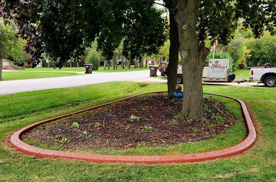 A manicured landscape bed with reddish curbing and dark mulch surrounding tree trunks on a green lawn.