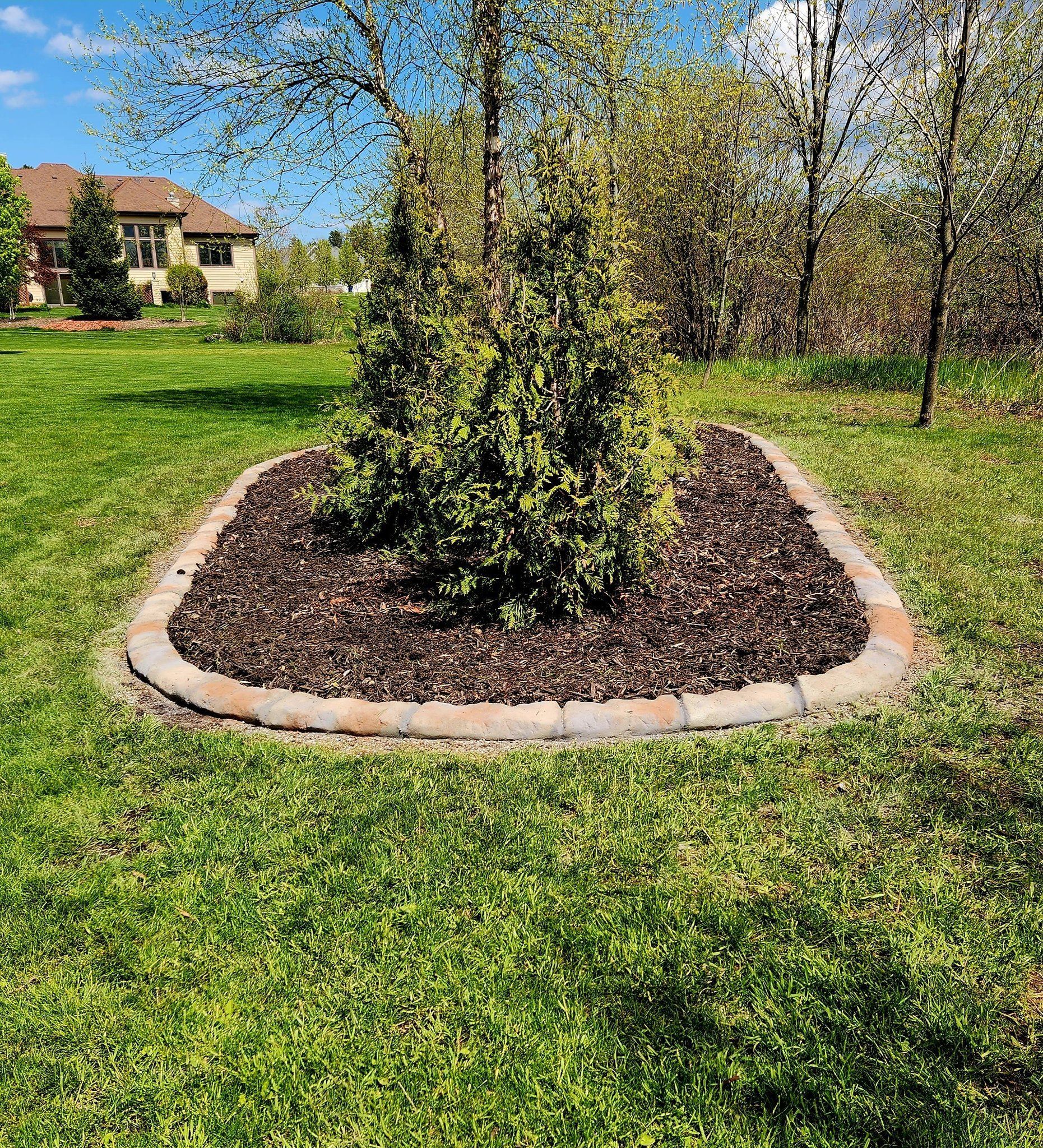 A small, oval tree bed bordered by tan stones and filled with dark mulch in a grassy suburban yard under a blue sky.