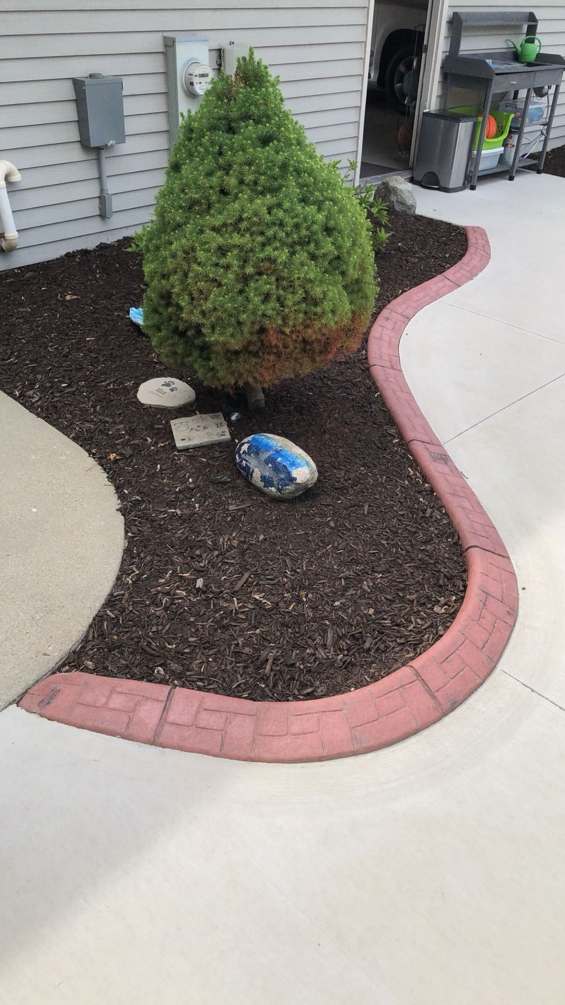 A small evergreen shrub centered in a dark mulch bed with a decorative red brick border next to a concrete patio.