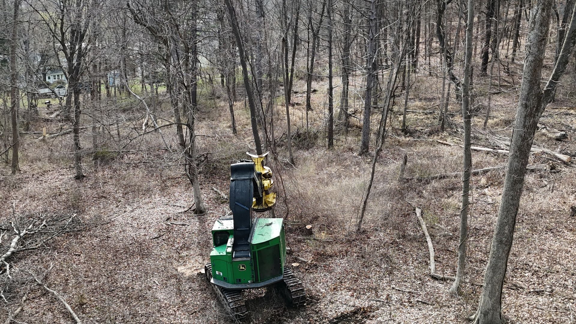 A man in a bucket is cutting a tree in front of a house.