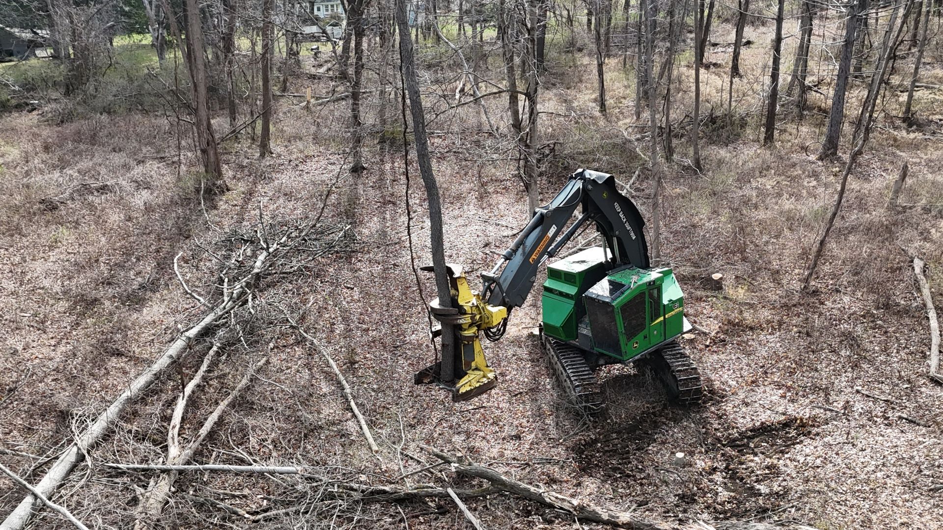 A green tractor is cutting trees in a forest.