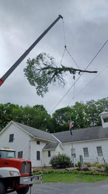 A crane is lifting a tree branch in front of a white house.