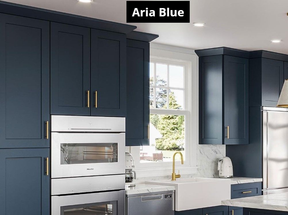 A kitchen with blue cabinets and stainless steel appliances