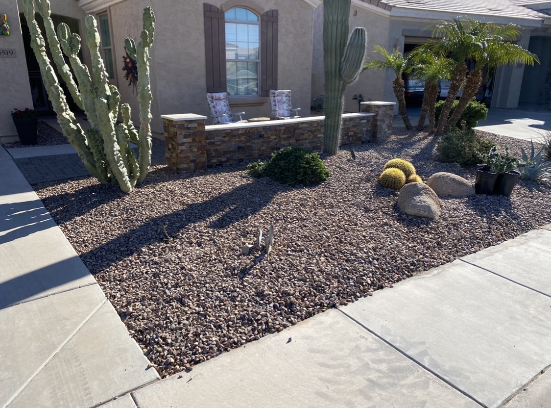A house with a cactus in front of it