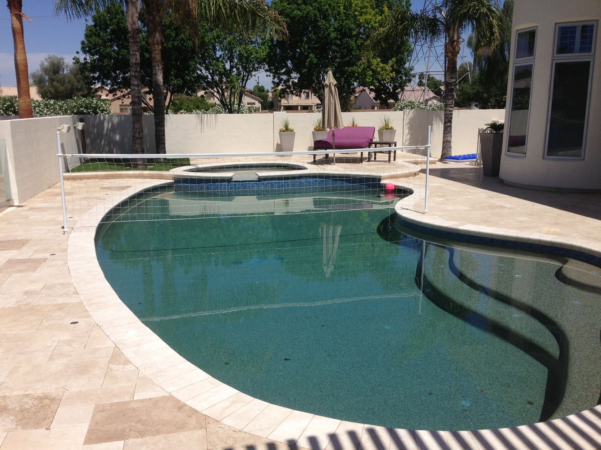 A large swimming pool is surrounded by palm trees