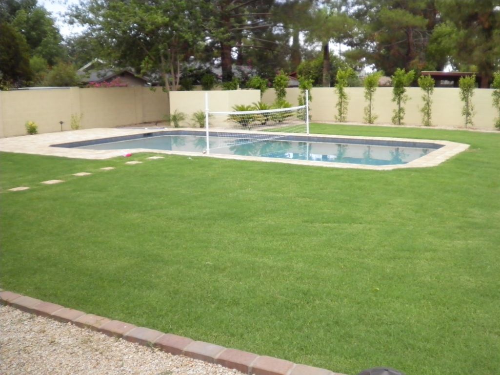 A large swimming pool with a volleyball net in the backyard