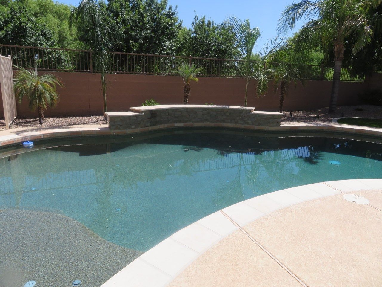 A large swimming pool surrounded by palm trees on a sunny day