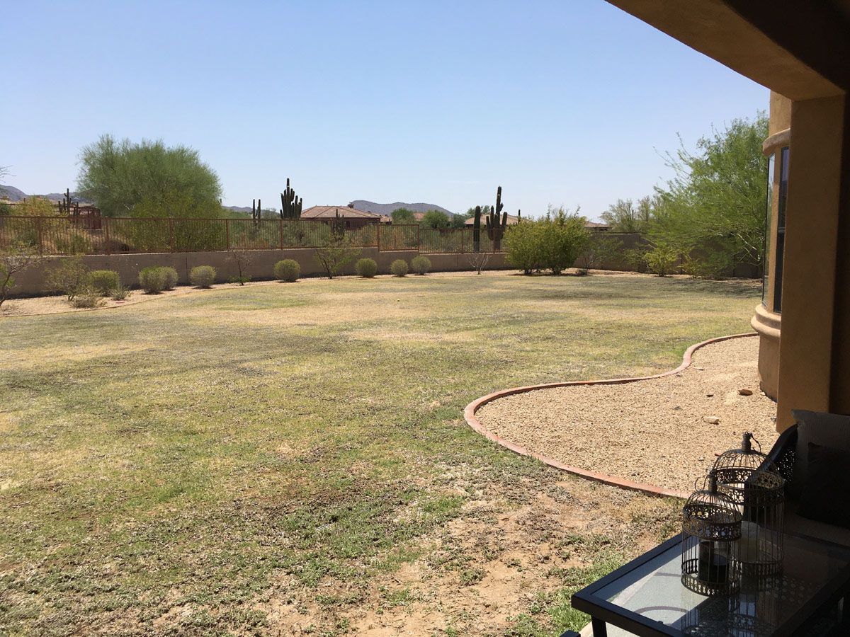 A large grassy field with a table in the foreground and a house in the background.