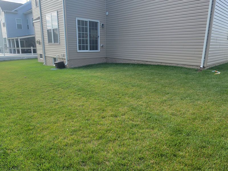 Green lawn beside a beige house with windows.