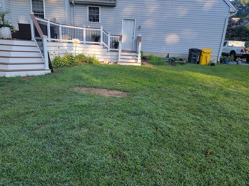 A grassy backyard with a house, deck, and trash cans; brown patch of dead grass in the center.