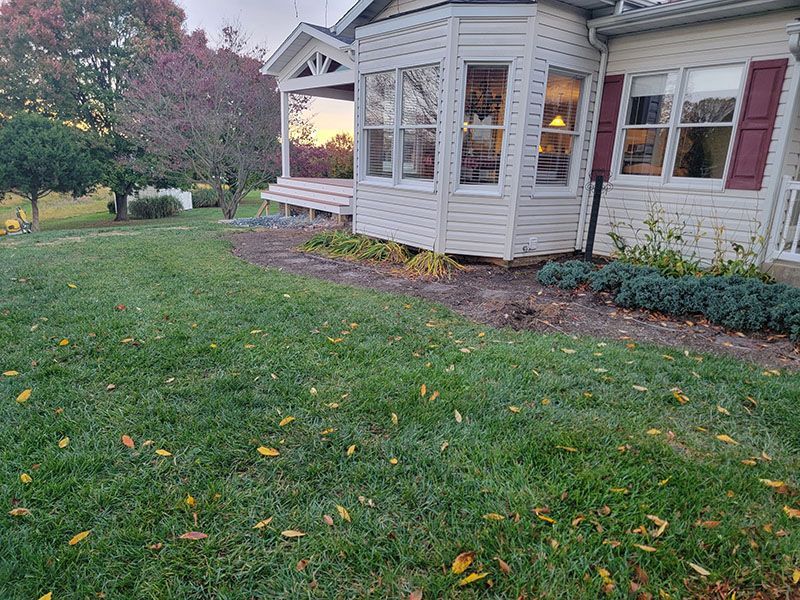 Lawn in front of a house with bay window and porch, green grass, and yellow leaves on the ground.