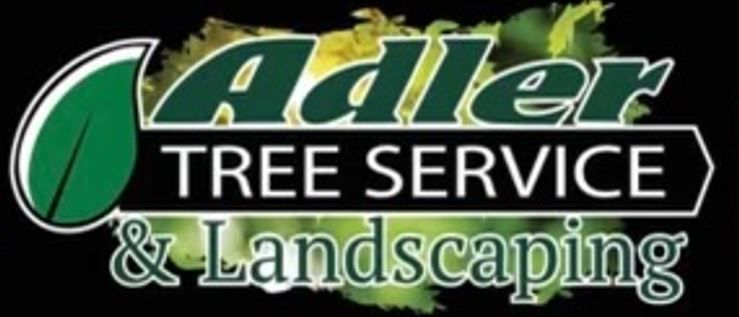 Blog | Adler Tree Service
