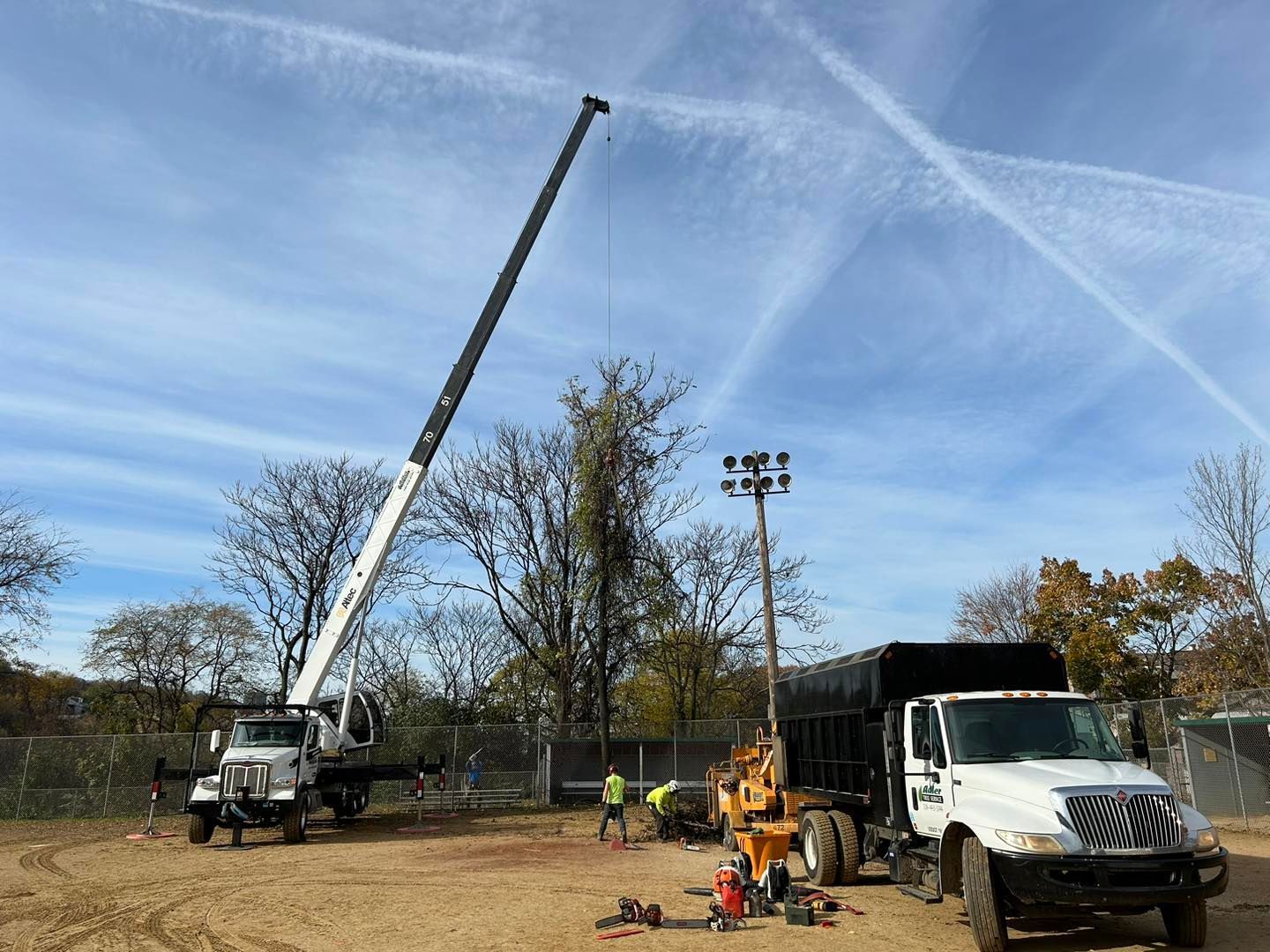 Tree Removal Pittsburgh Adler Tree Service & Landscaping