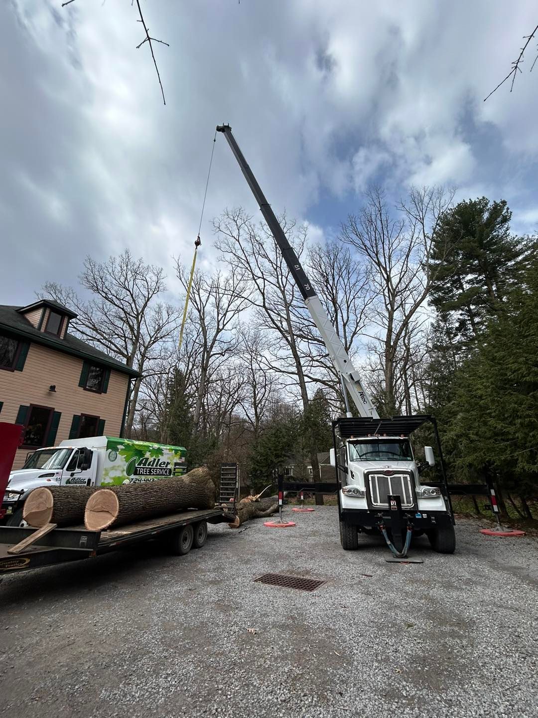 Tree Removal Pittsburgh Adler Tree Service & Landscaping