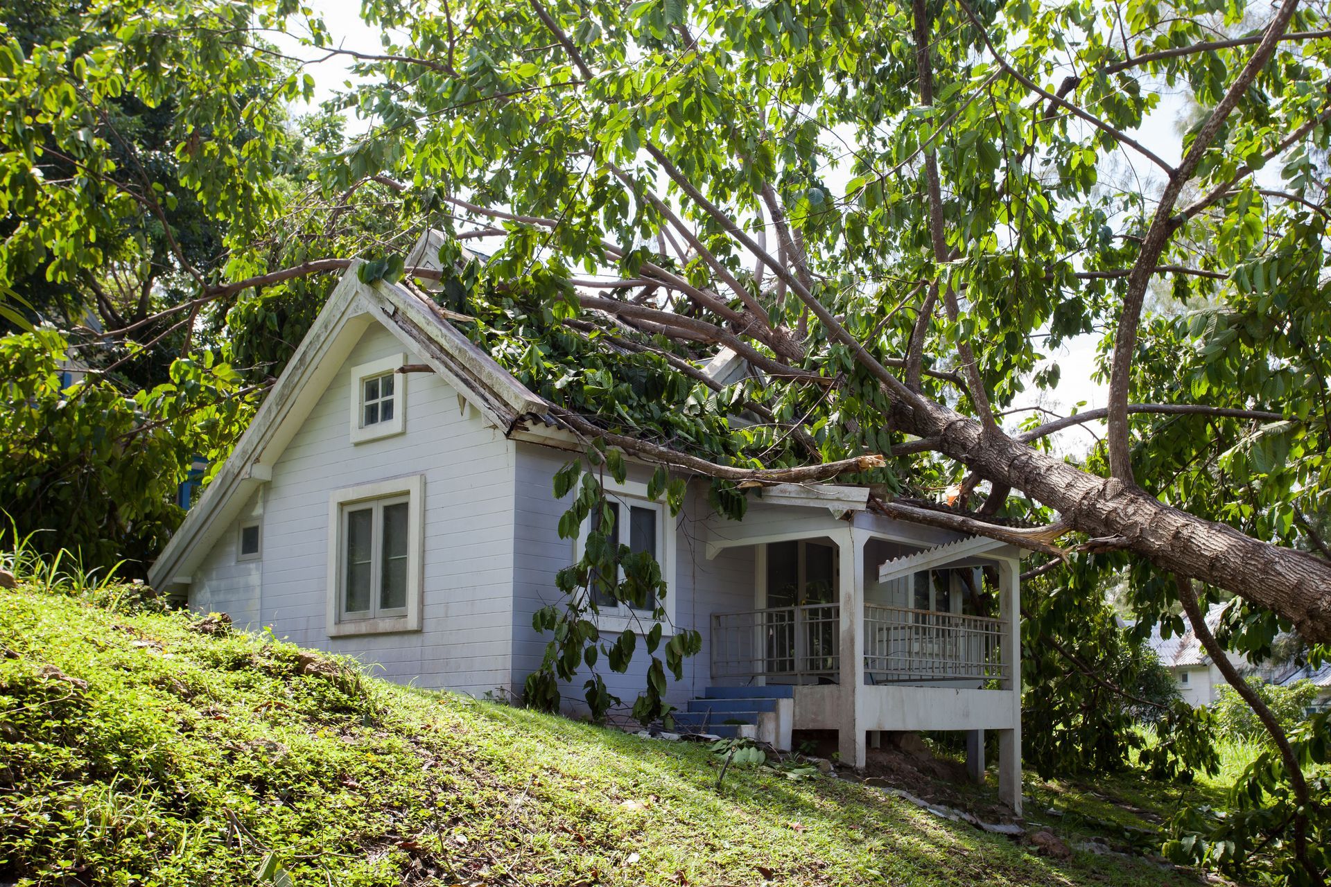 A white house with a tree that has fallen on it