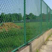 Green chain-link fence