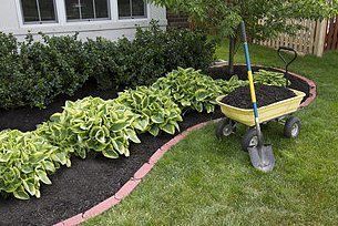 Mulching and landscaping